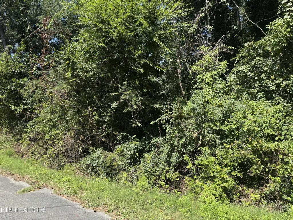 726 Brookhill Drive, Etowah