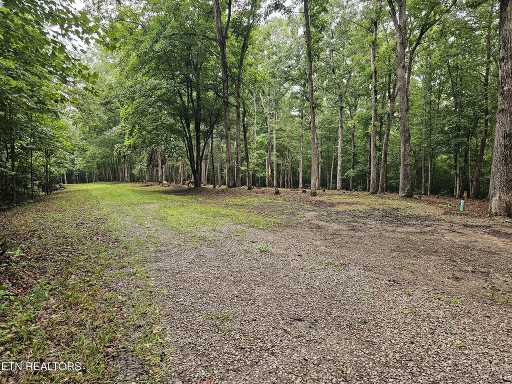 W Catoosa Canyon Dr Drive, Crossville