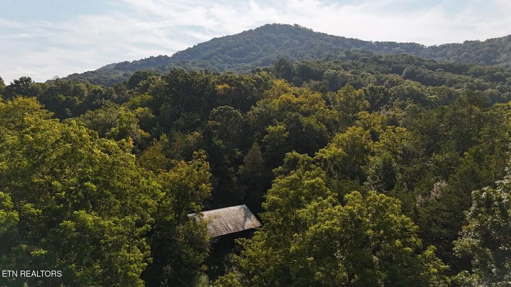 Redbud Circle, Luttrell
