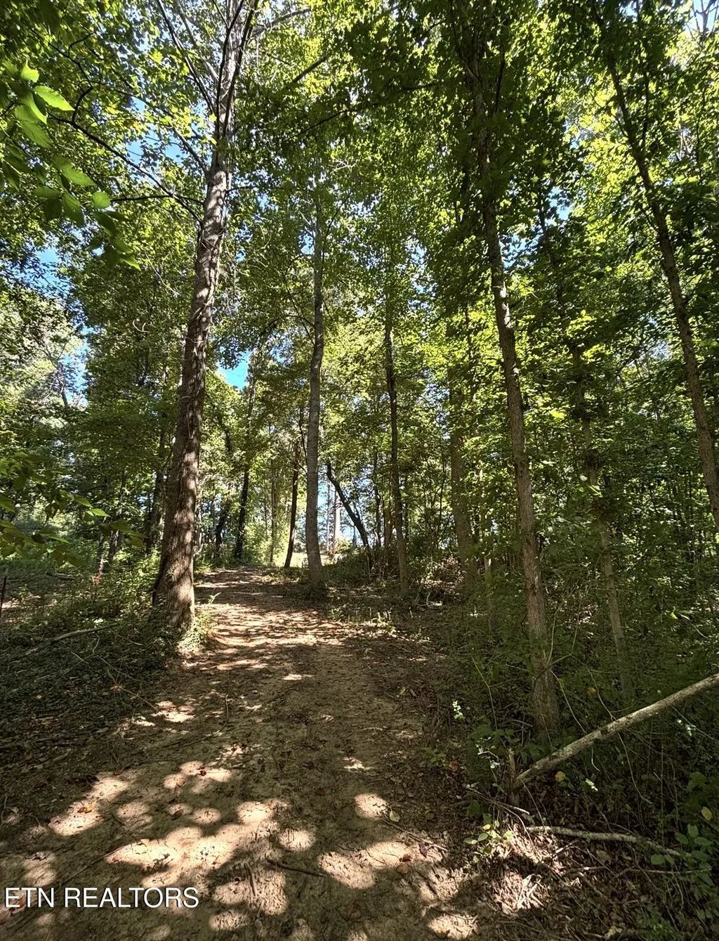 388 W Toomey Lane, Madisonville