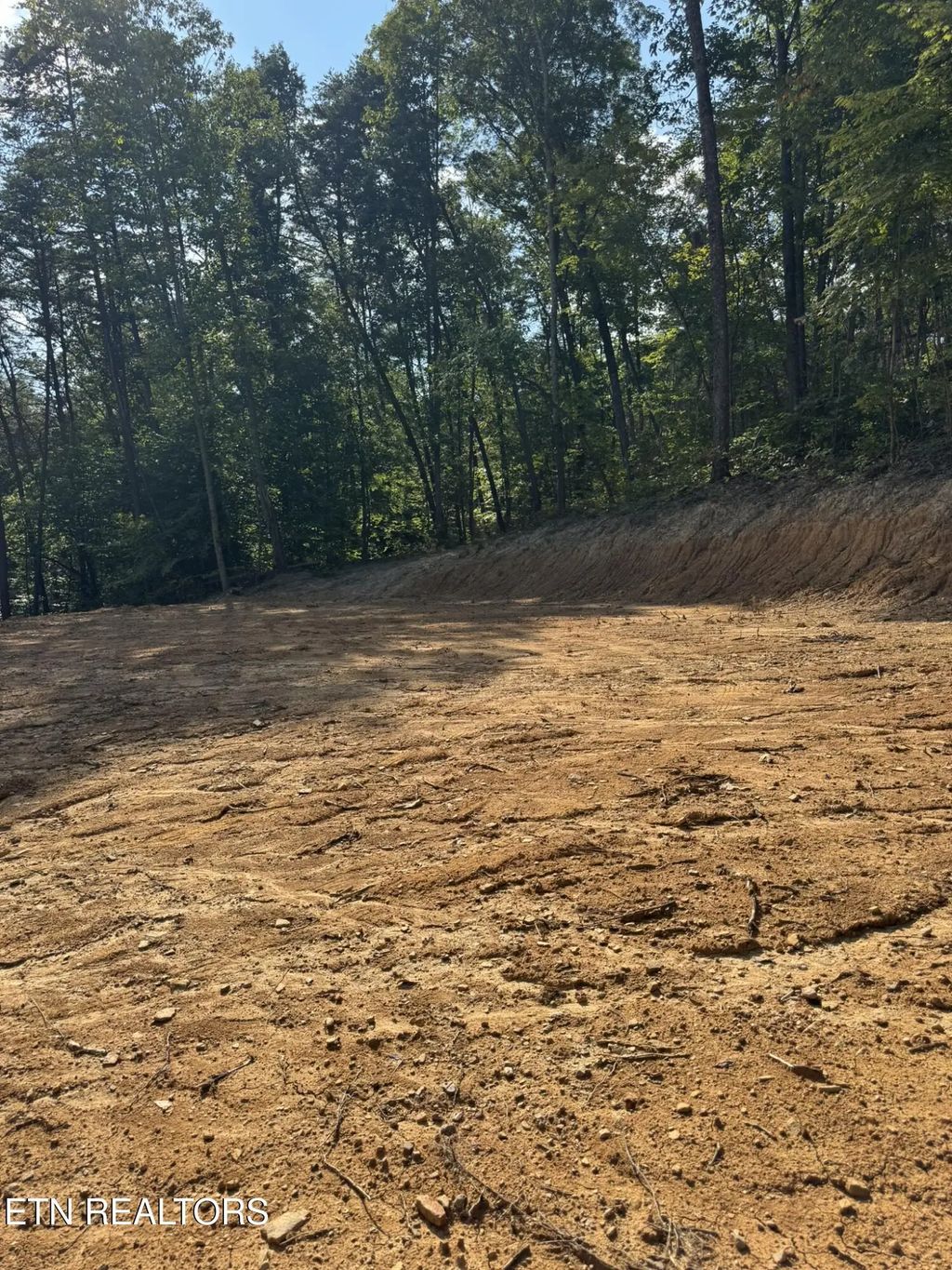 Lot 4a Texas Hollow Rd., Luttrell