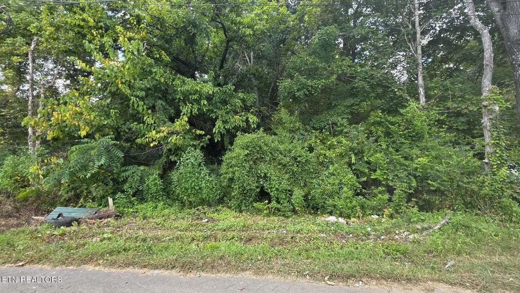 1233 Ohio Ave, Knoxville