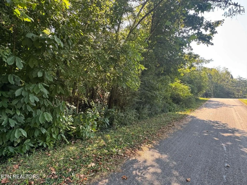 164 Jodys Lane, Rockwood