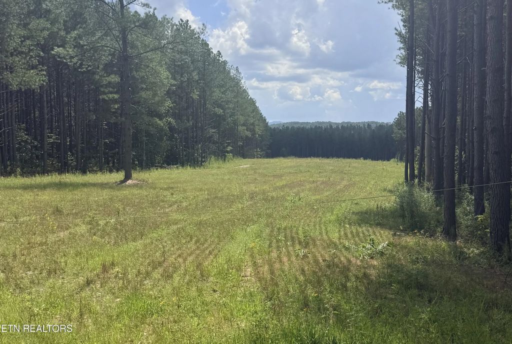 145 Black Bear Lane, Sunbright