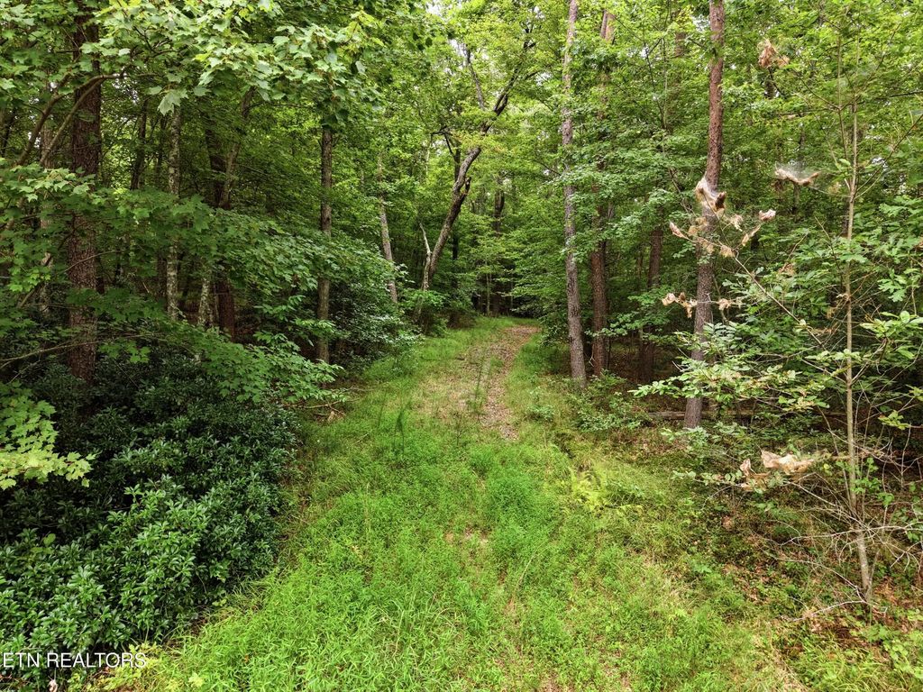 574 River Rd, Crossville