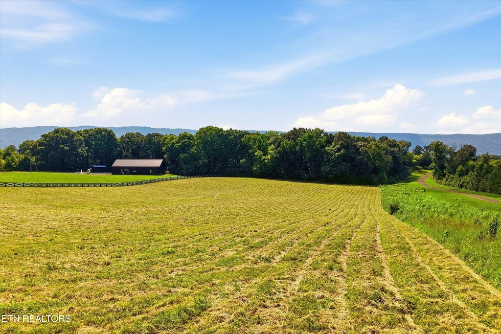 909 County Rd 053.00, Etowah
