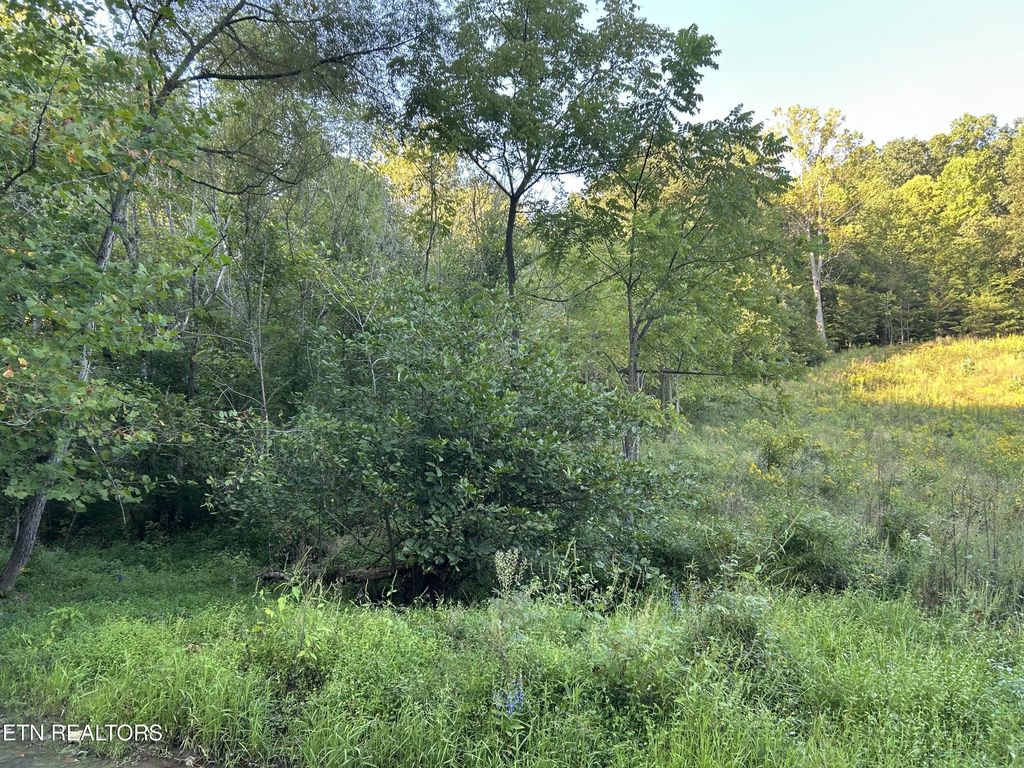 1261 Cave Springs Rd, Rogersville