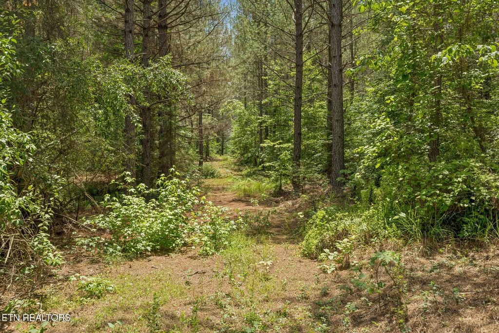 Nydeck Tr Tract 3, Robbins