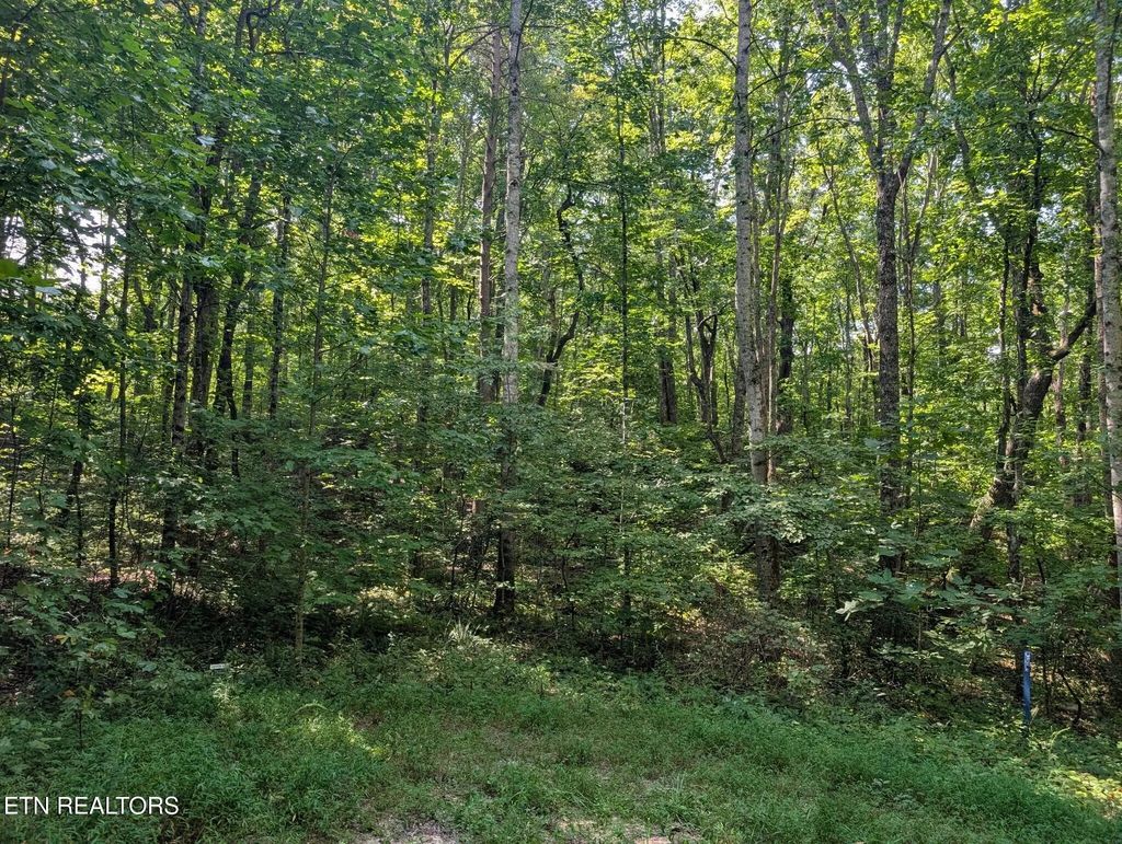 Retreat Circle- Lot- 48,49,50, Crossville