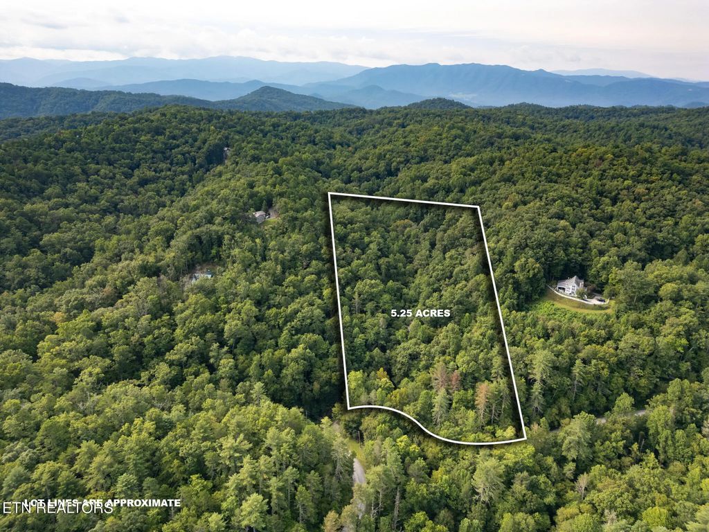 Chilhowee Loop, Walland
