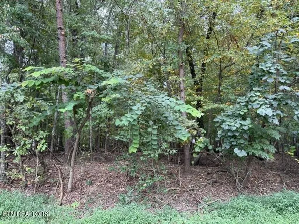 122 Ivy Lane, Fairfield Glade