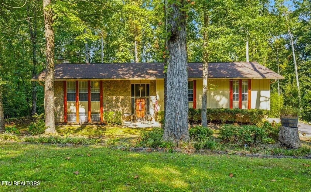 1119 W Outer Drive, Oak Ridge