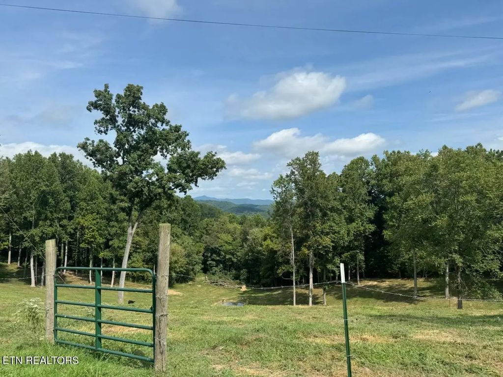 Locust Grove Rd, New Tazewell
