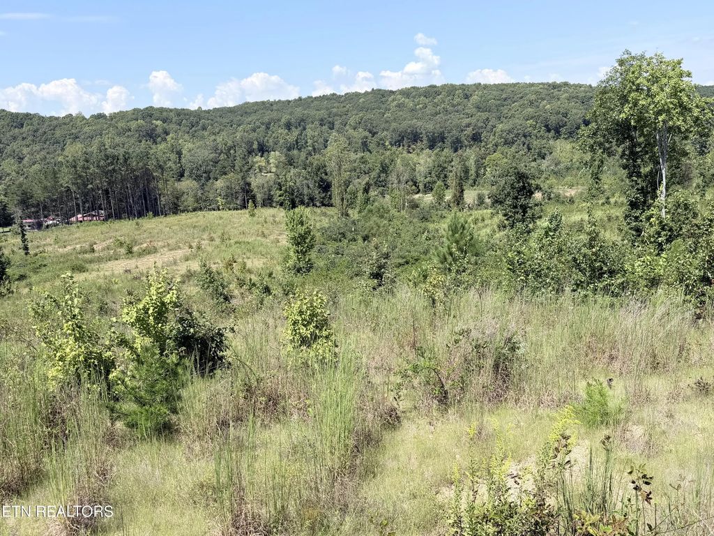 140 County Road 190, Decatur