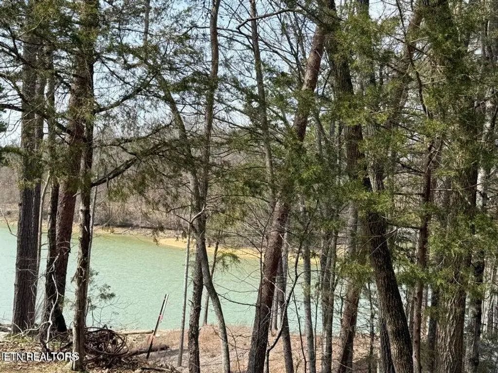 Summer Breeze Lane, New Tazewell
