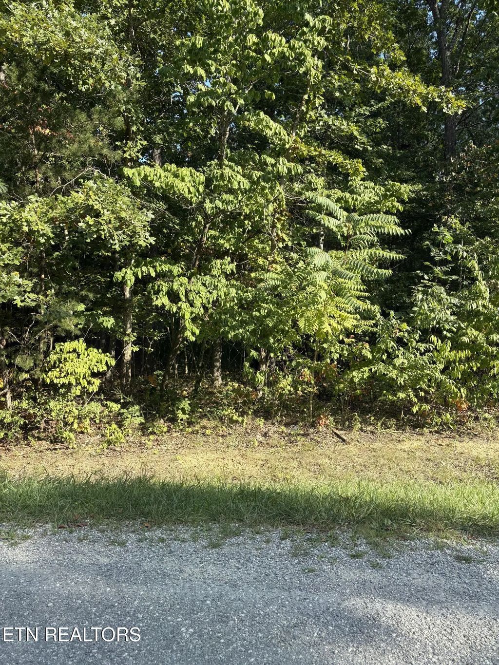 151 Beachwood Drive, Crossville