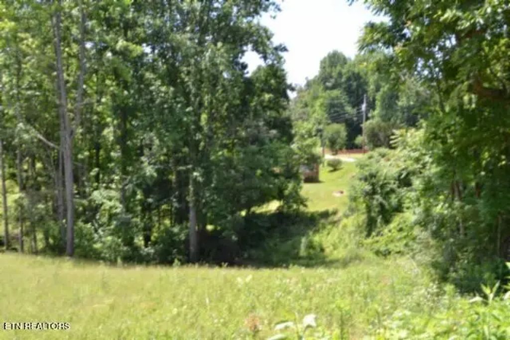2376 Pea Ridge Fire Tower Rd, Celina