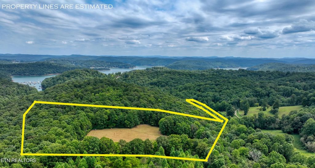 303 Tar Town Hollow Lane, LaFollette