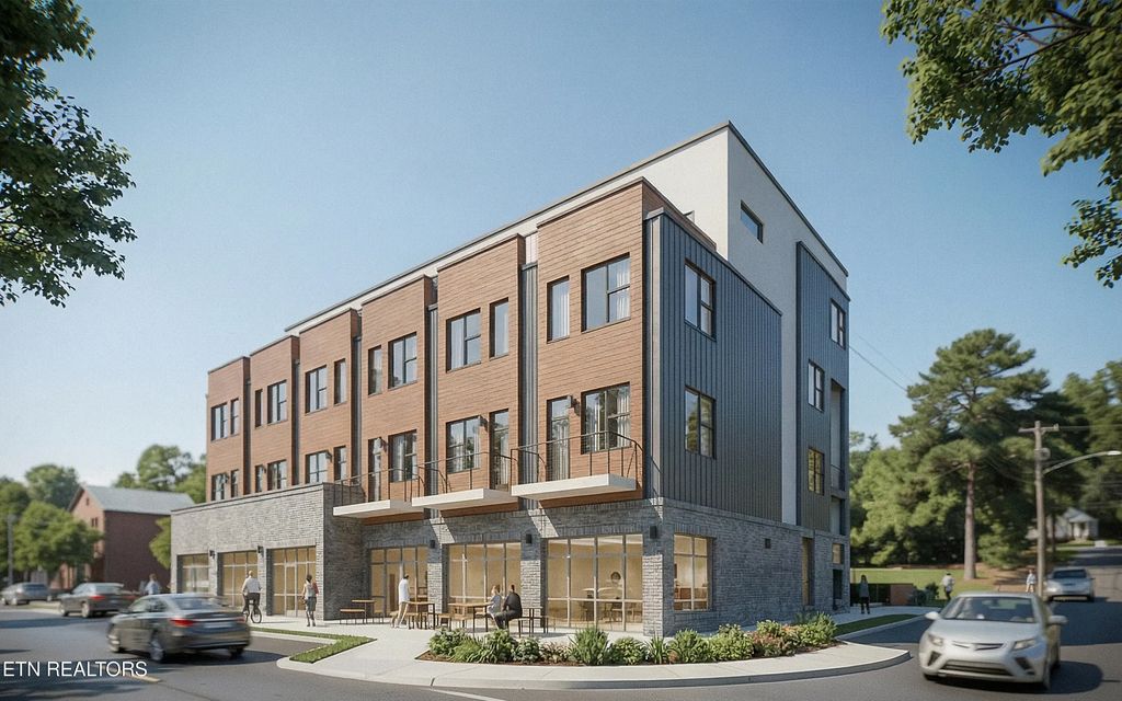 1108 Sevier Ave 302, Knoxville
