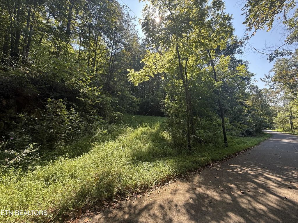 Community Park Rd, Seymour