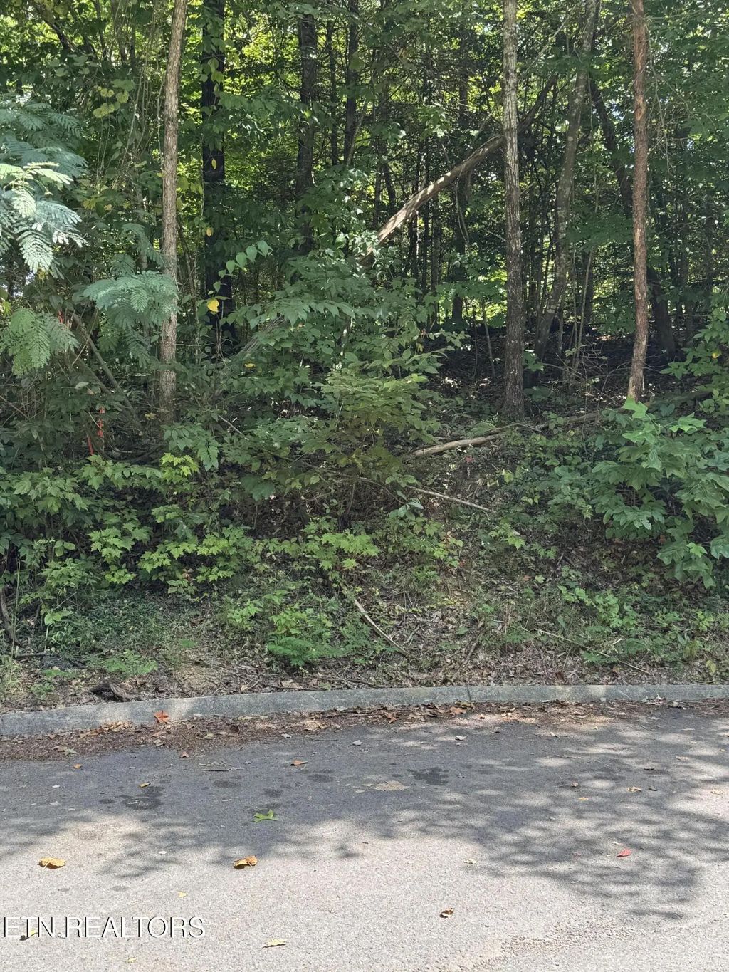 S. B. Ogle Lane, Sevierville