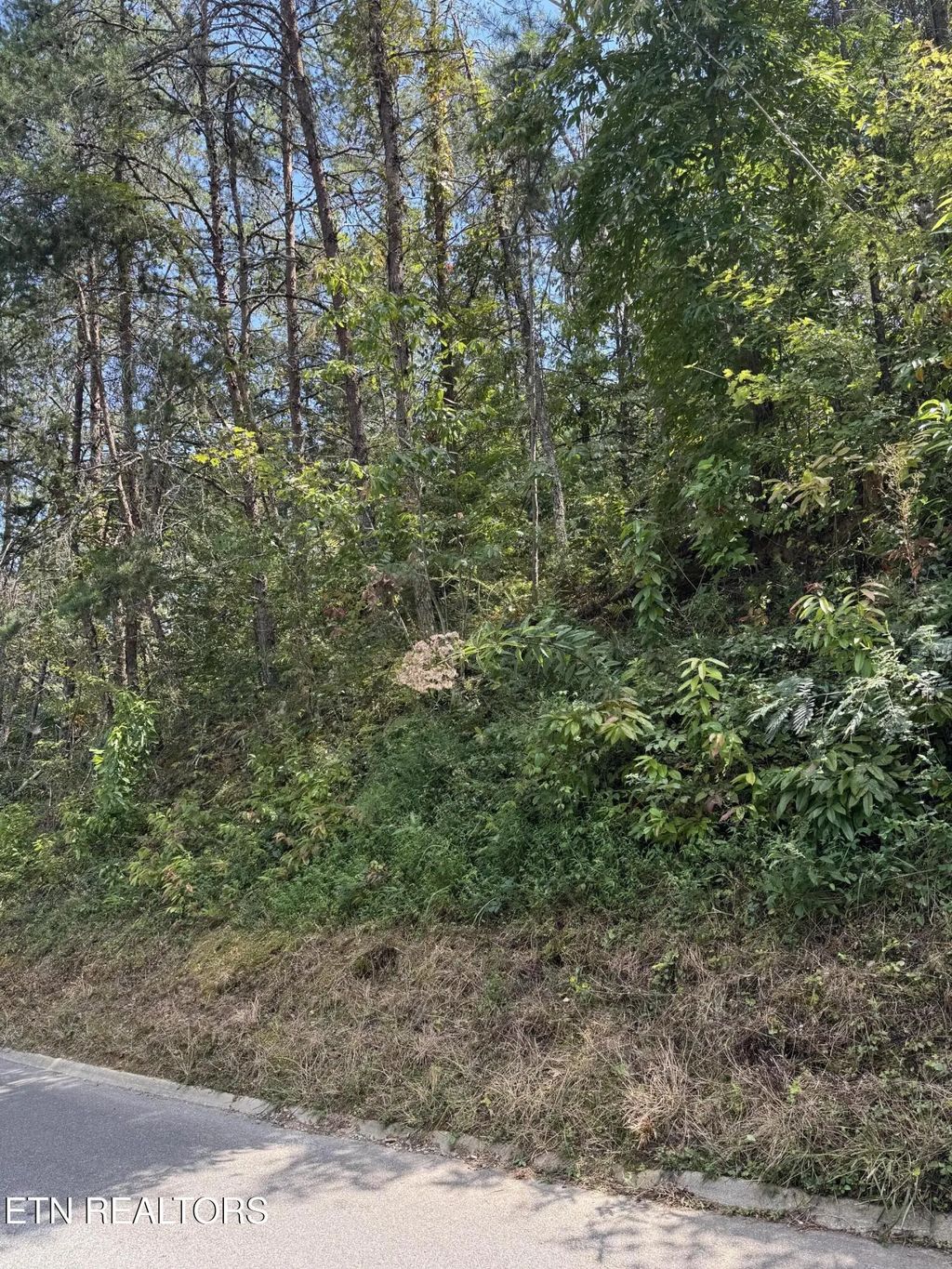 S. B. Ogle, Sevierville