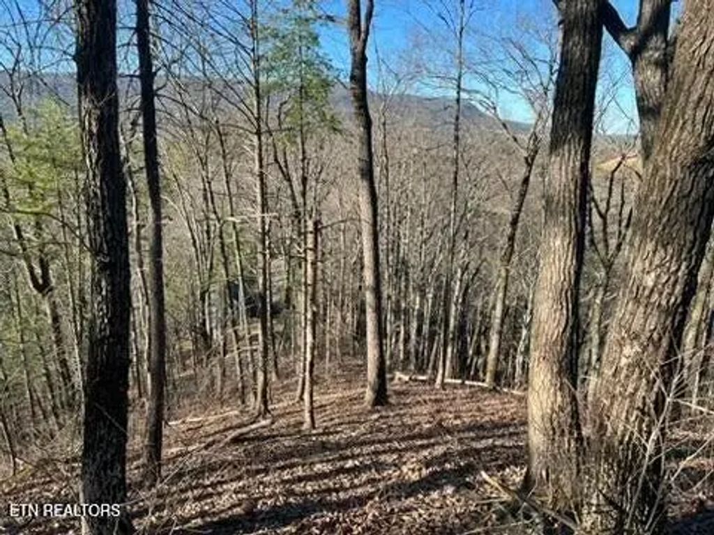 2353 Headrick Lead, Sevierville