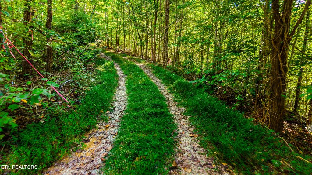 429 King Branch Rd, Sevierville