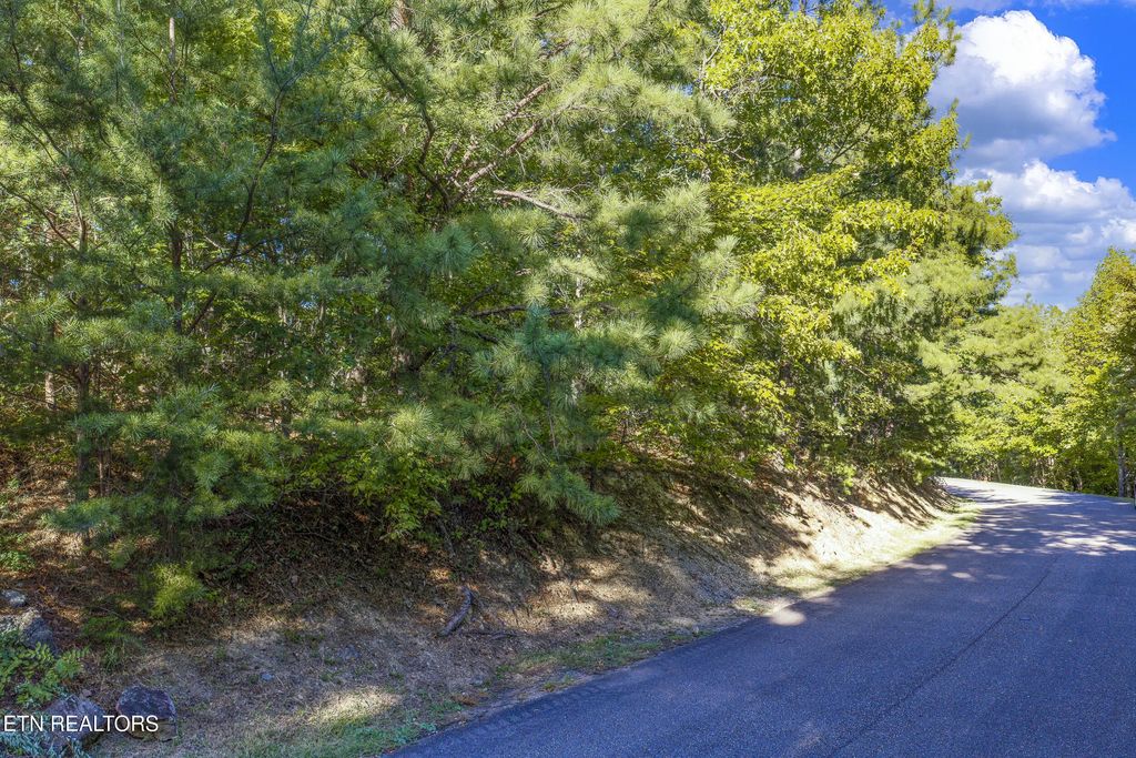 Laurel Top Way, Sevierville