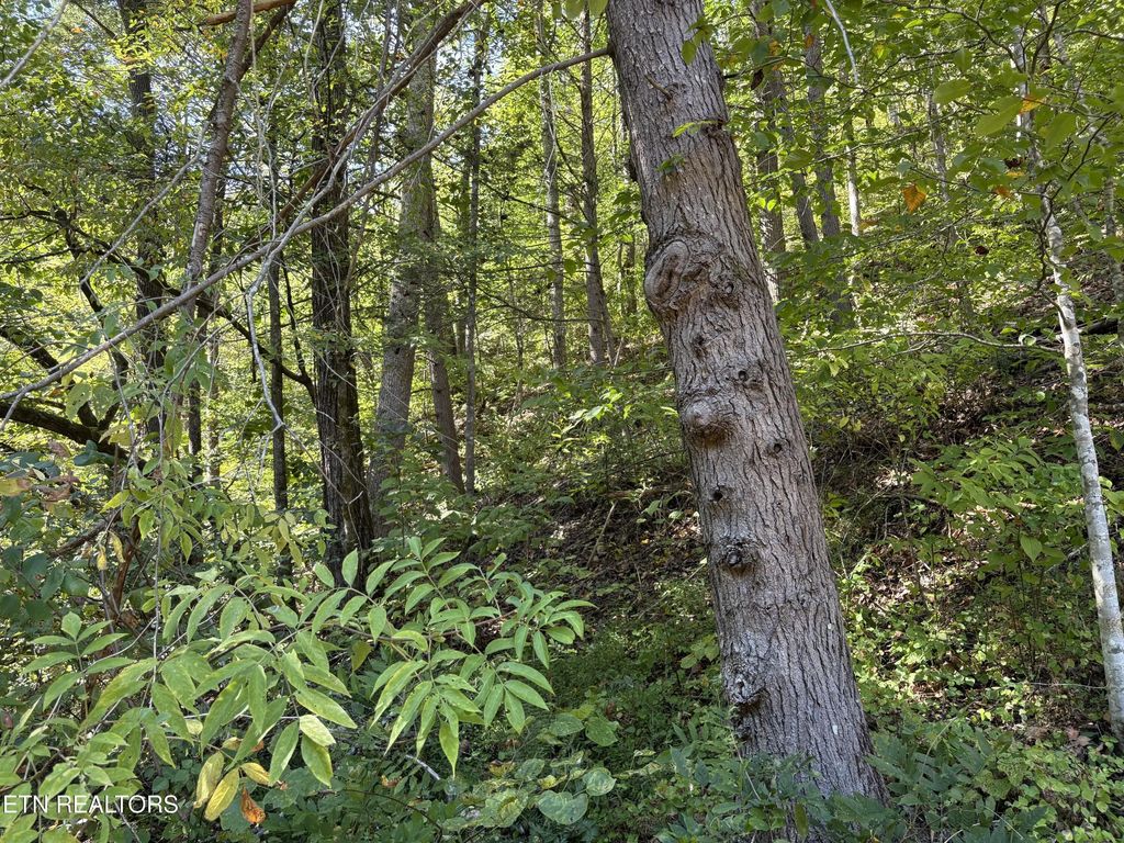 N Clearfork Rd Sec 2, Lot1, Sevierville