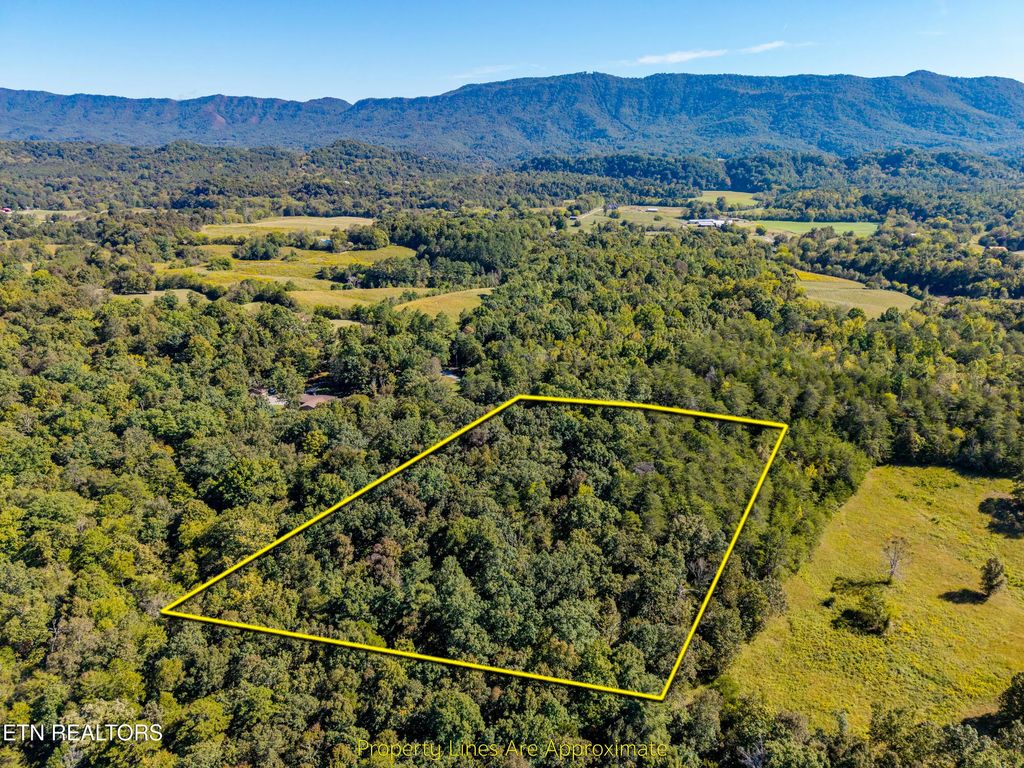 1903 Tree Tops Lane, Seymour