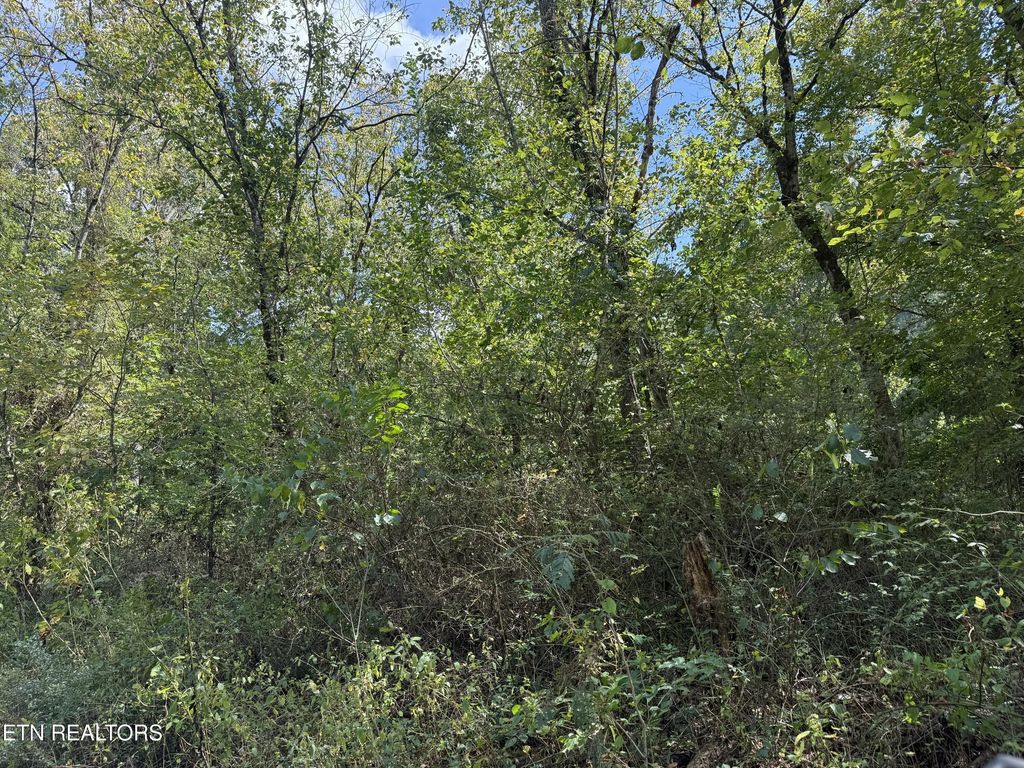 Kenwood Lane, LaFollette