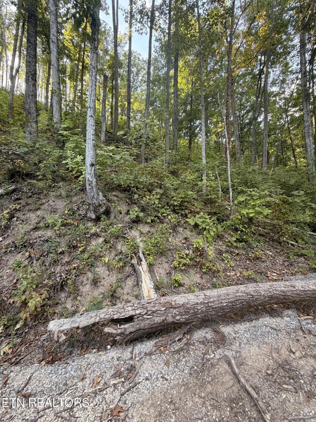 Whipoorwill Hill Way 28, Sevierville
