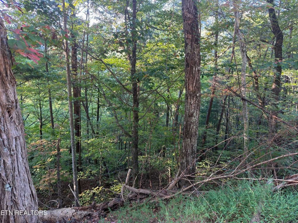Overholt Tr, Sevierville