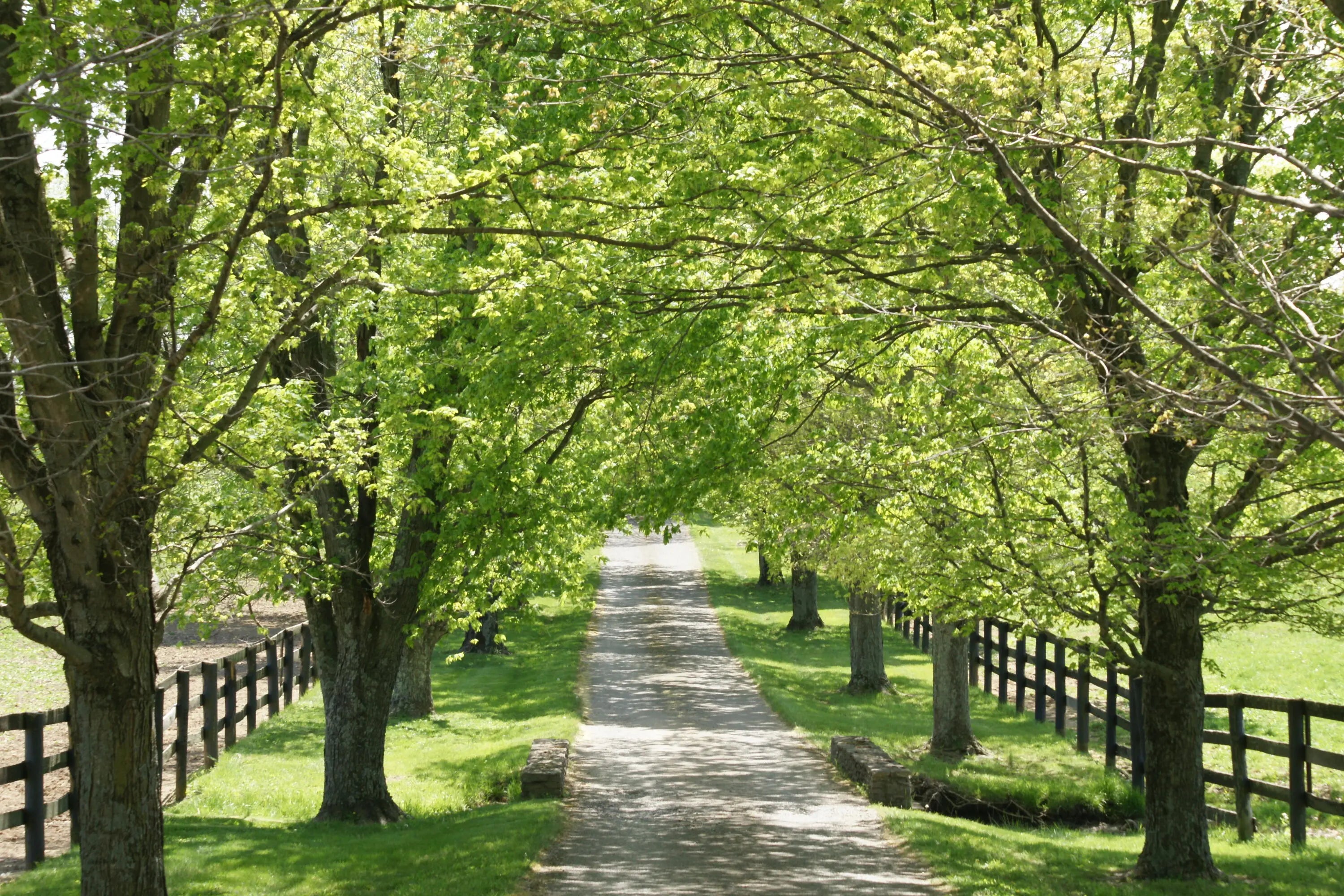 Photo of Listing #23007743