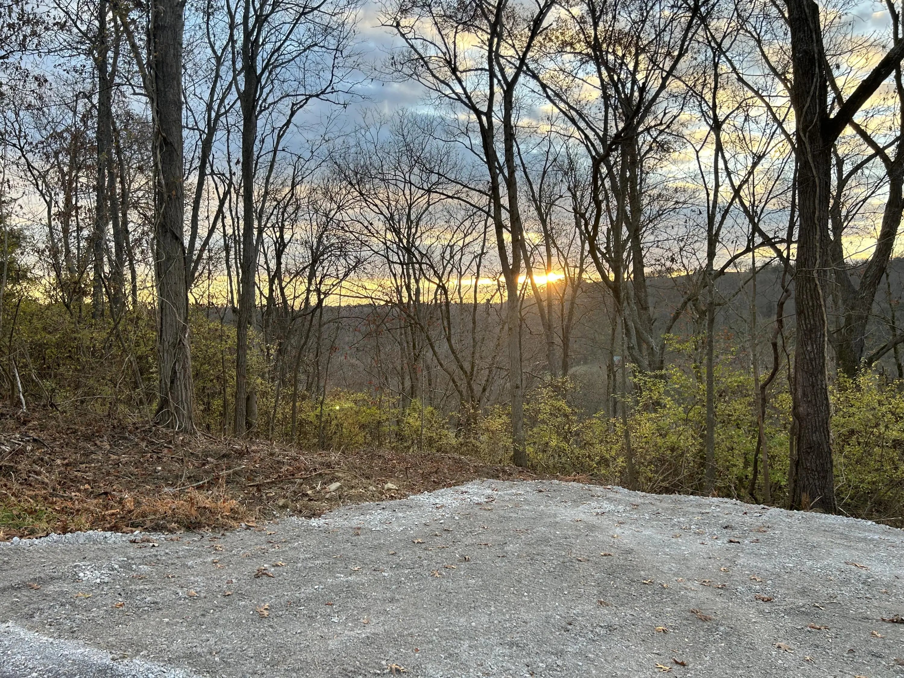 Photo of Listing #24003562