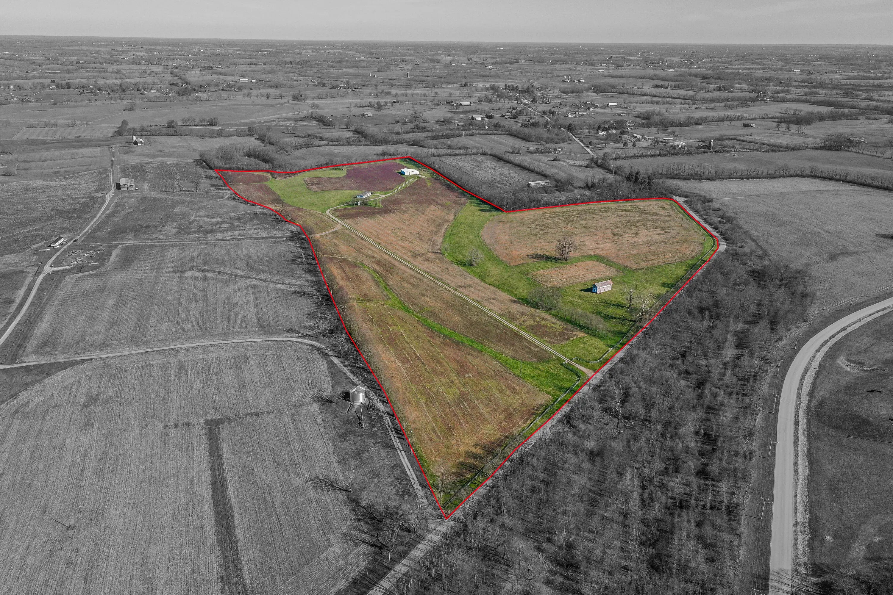 Photo of Listing #25005672