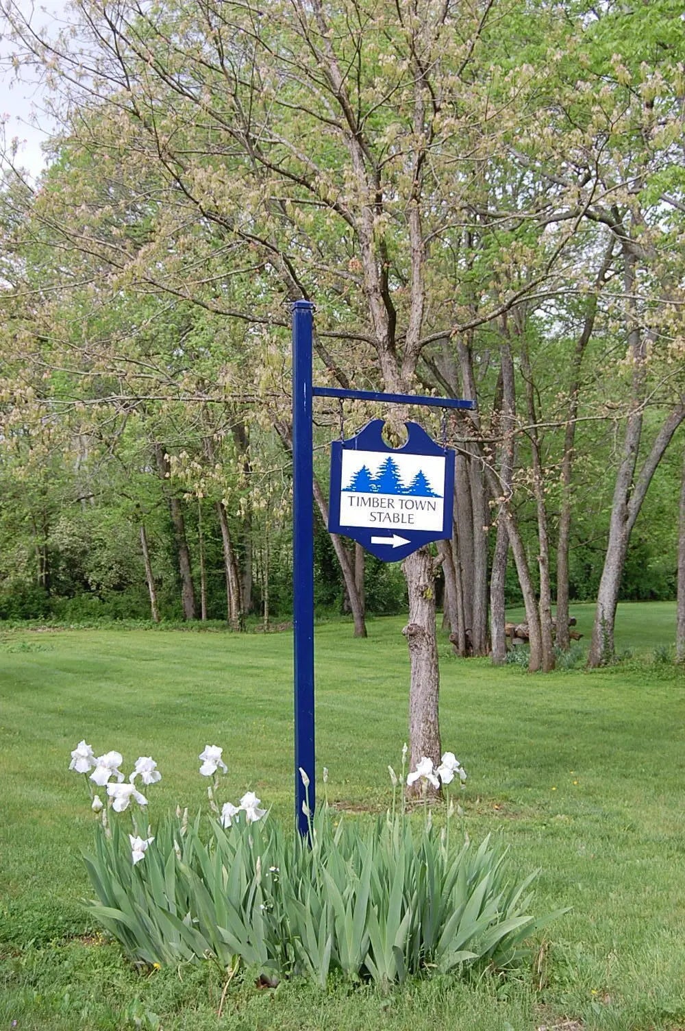 Photo of Listing #25010618