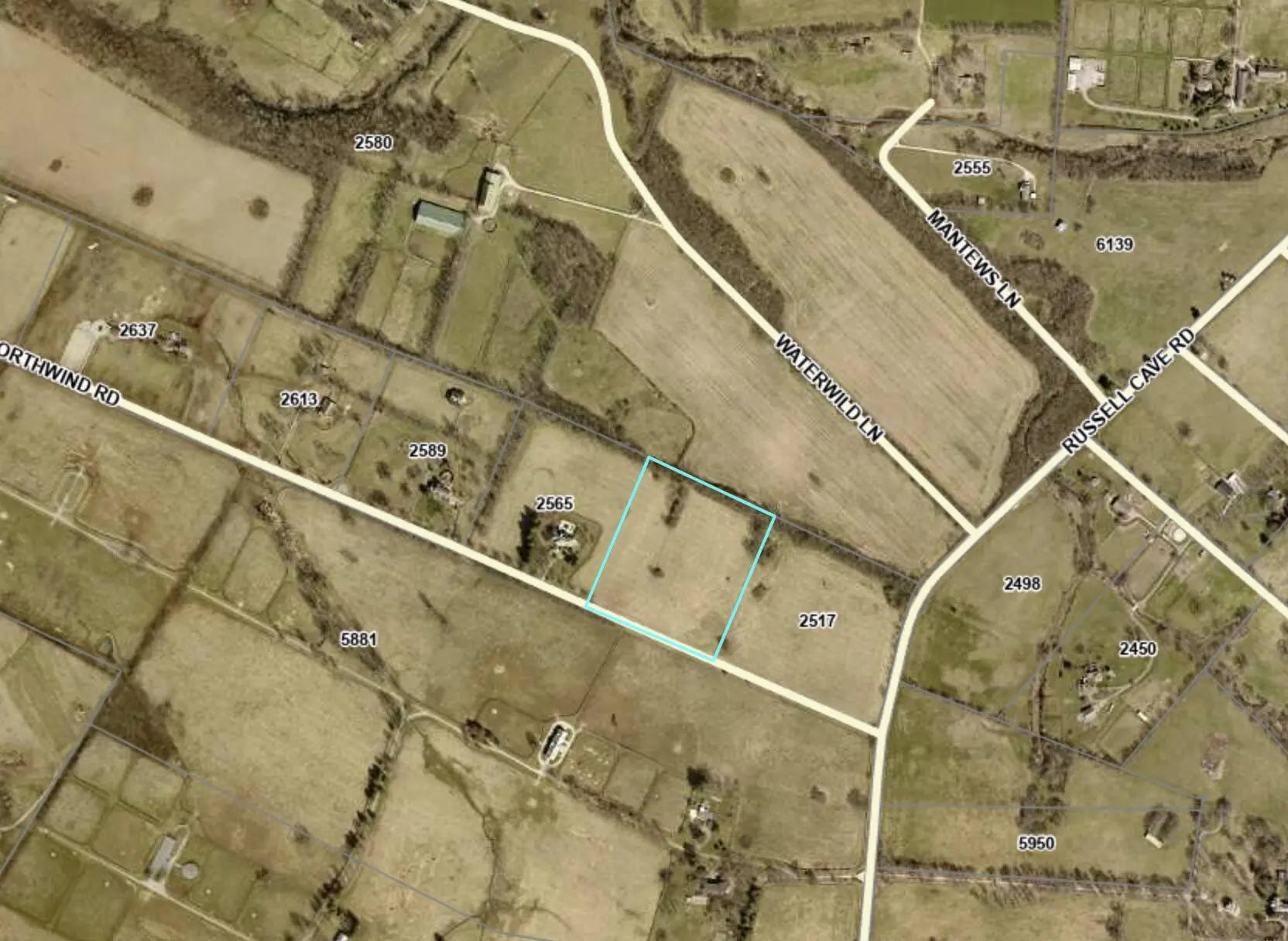 Photo of Listing #25016029