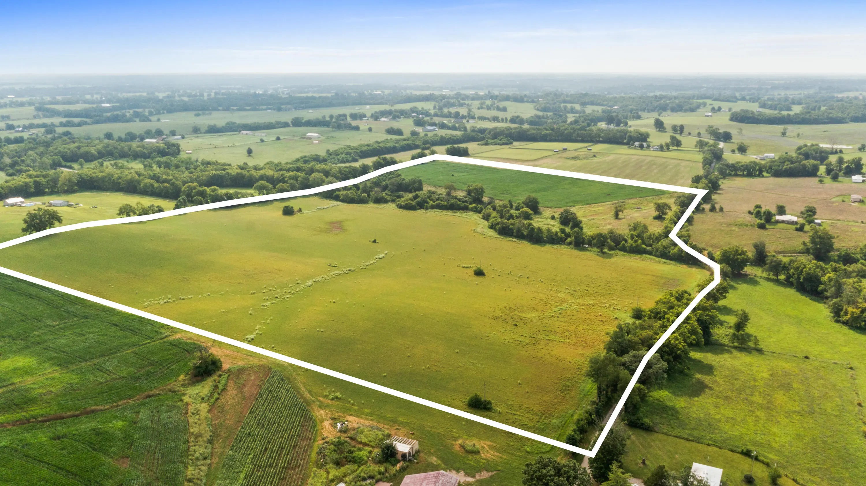 Photo of Listing #25016265