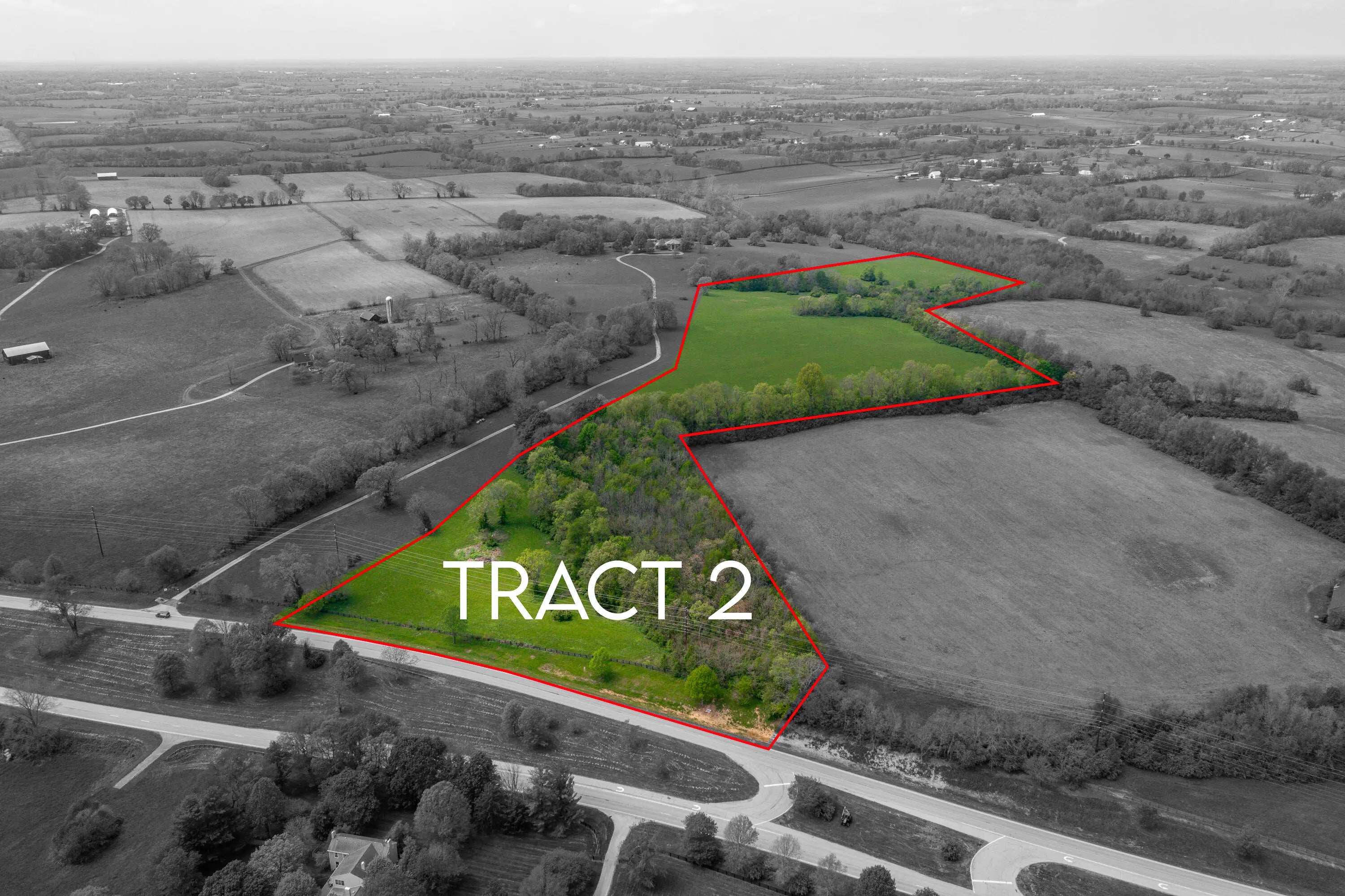 Photo of Listing #25009566