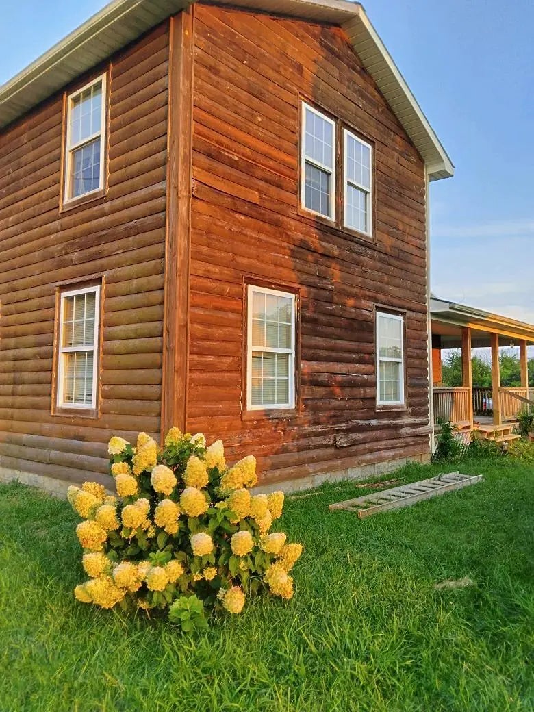 Photo of Listing #25013403