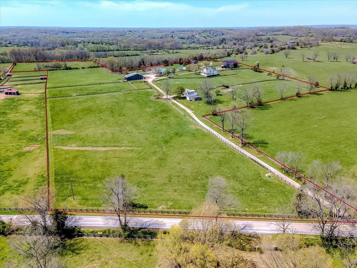 Photo of Listing #25007941