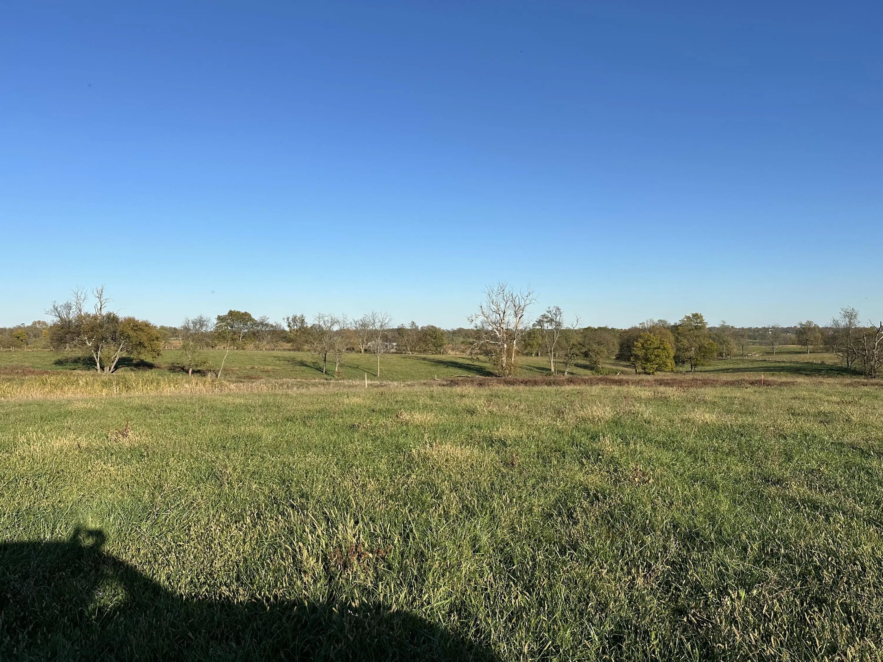 Photo of Listing #24022420