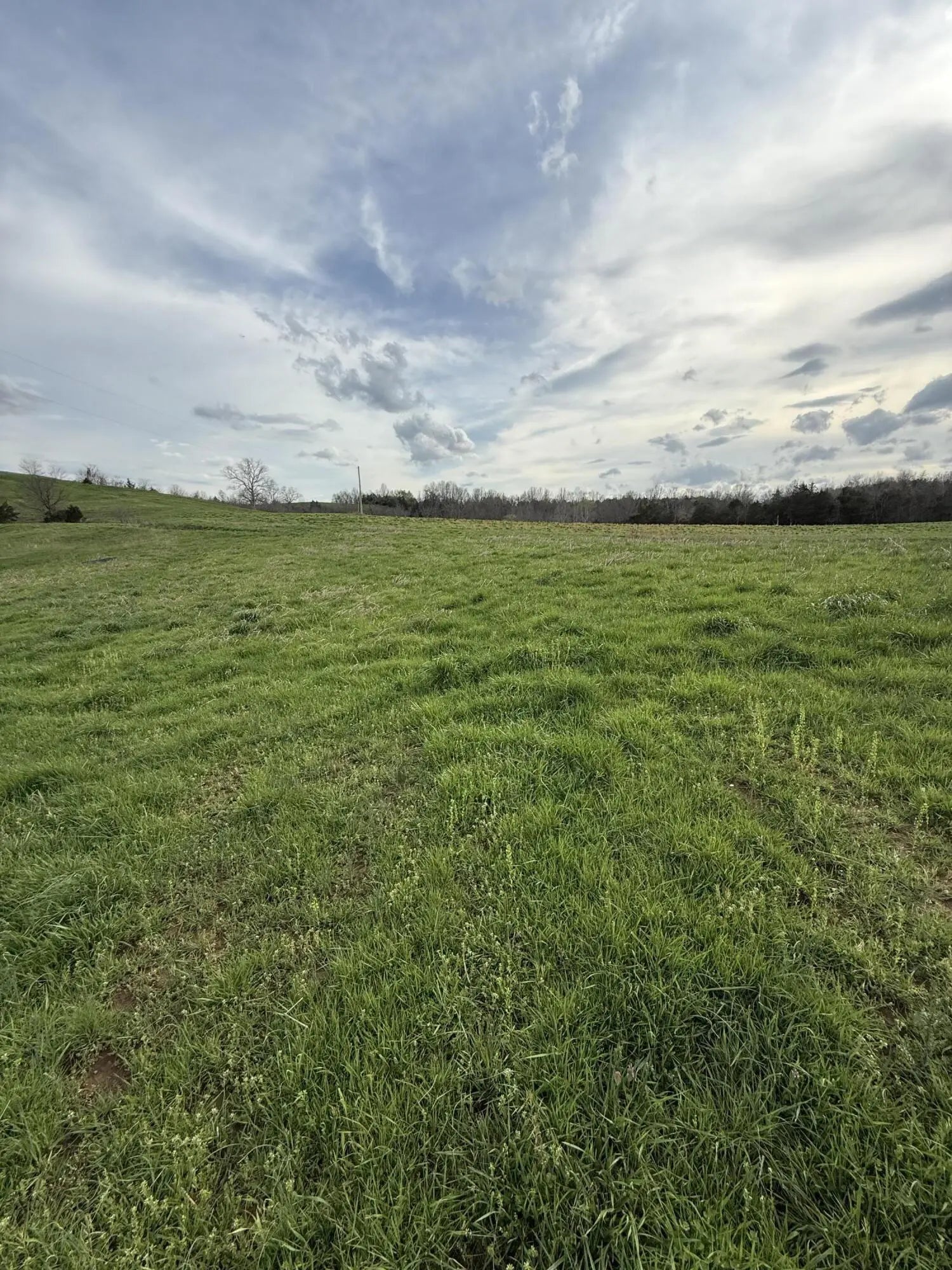 Photo of Listing #24010238