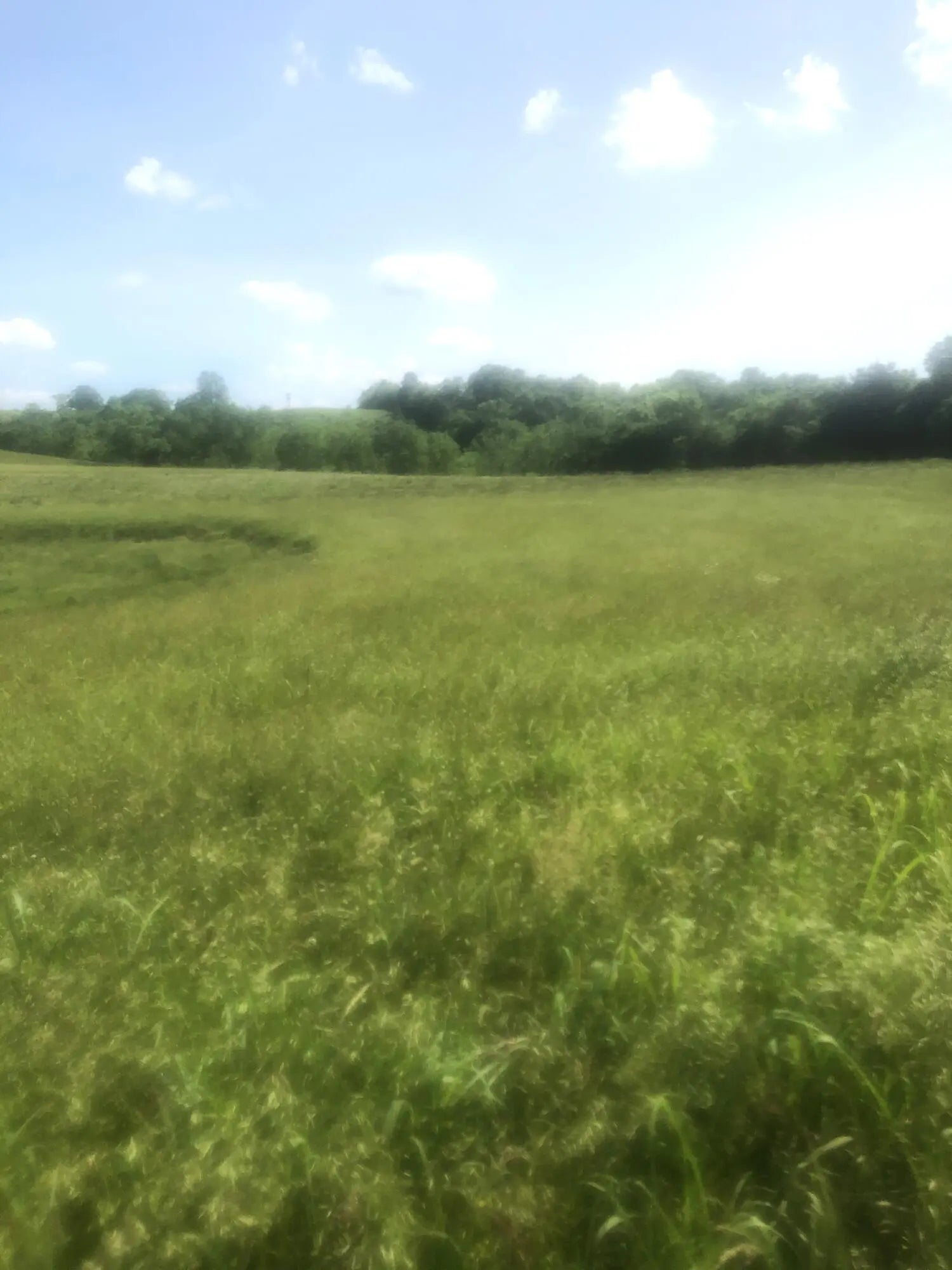 Photo of Listing #24010238