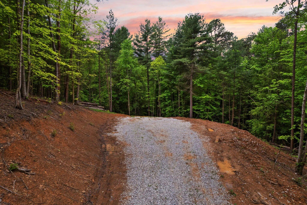 11 Clay-alexander Road, Campton