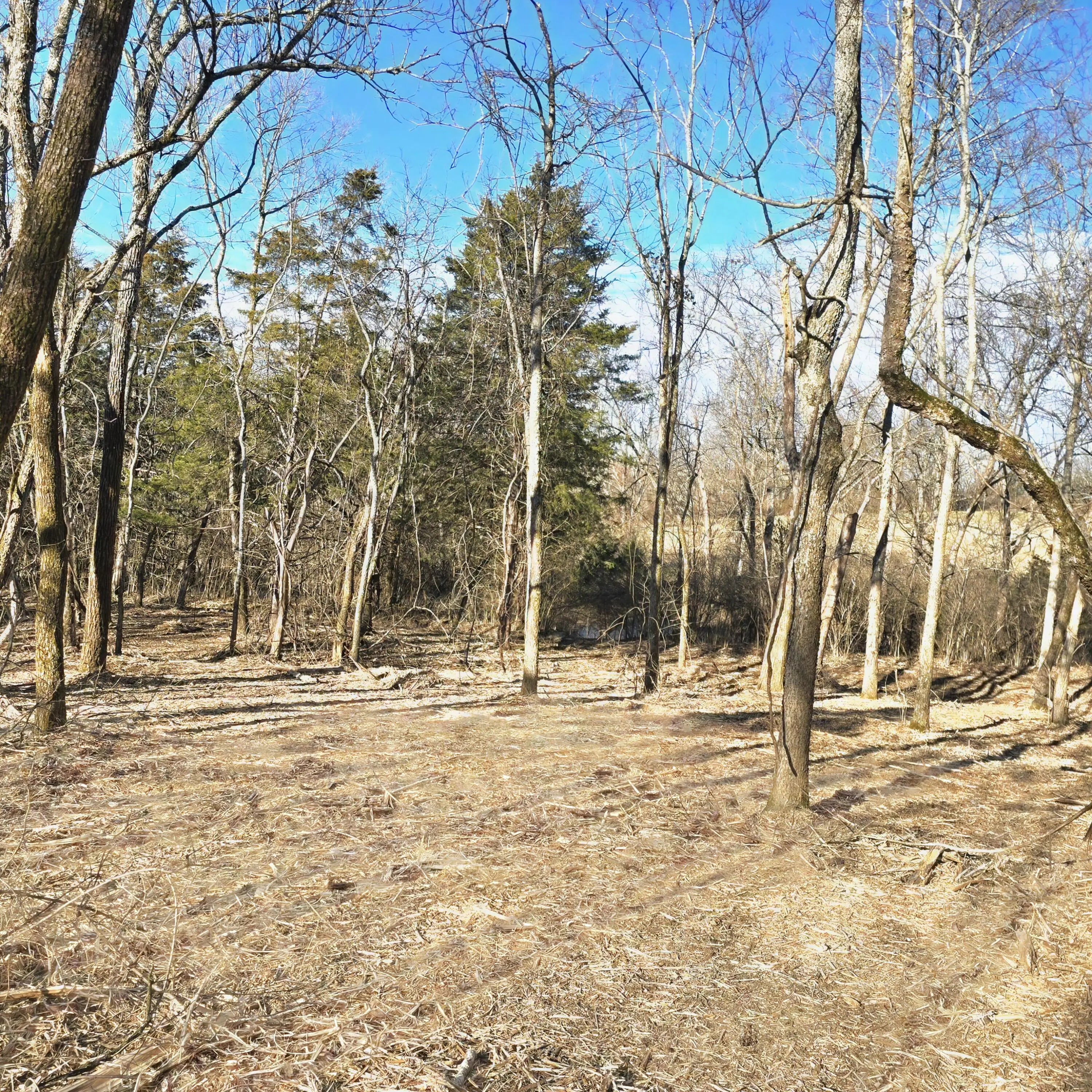 Photo of Listing #24018625