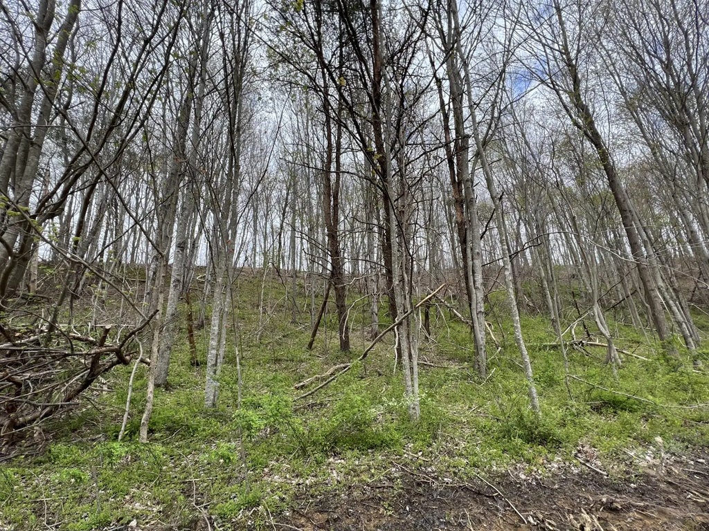 Lot #20 Laredo Drive, London