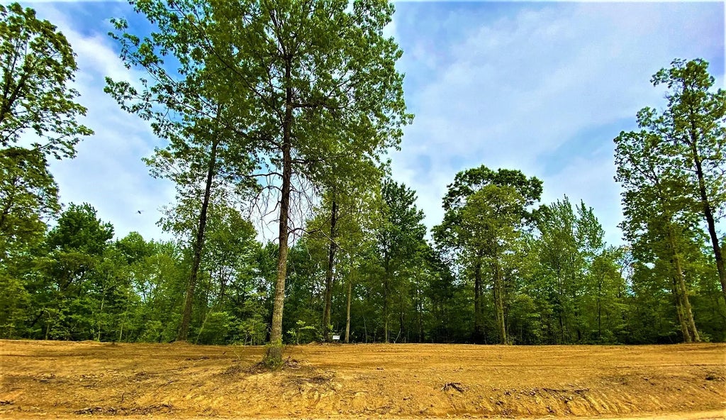 P-3 Lot 48 Twin Ponds Road, Corbin